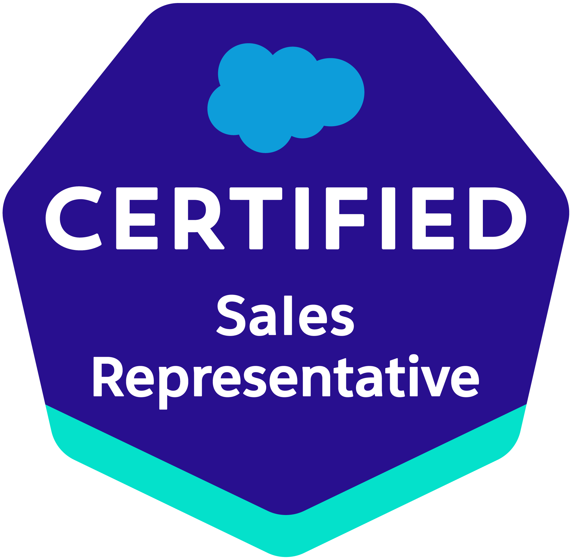 Sales Representative