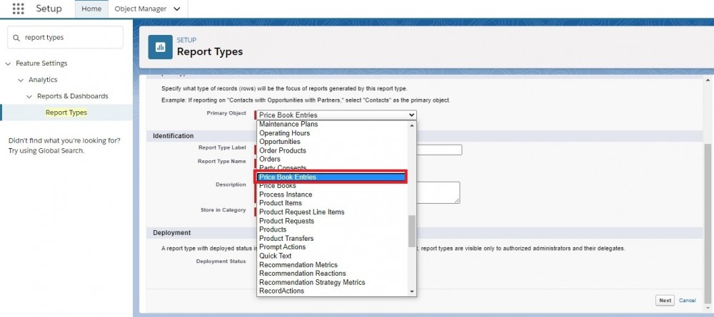 Salesforce  Report Types Primmary Object Picklist Options