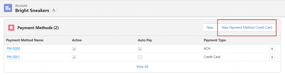 Salesforce Billing New Payment Method Credit Card